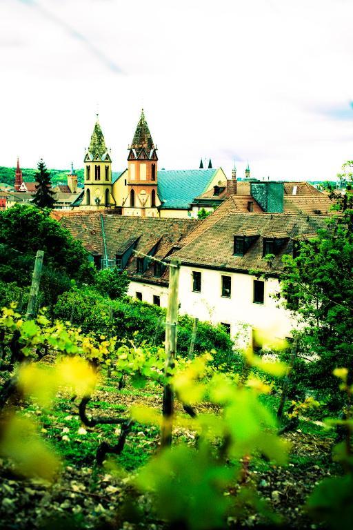 Youth Hostel Wuerzburg Exteriér fotografie